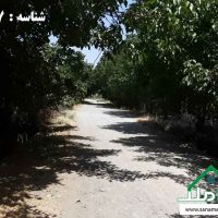 باغ 3 طرف دیوار با درختان متنوع و قدیمی در لم آباد