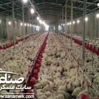 فروش مرغداری تخمی در مهرچین ملارد  کد 900