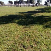 فروش زمین کشاورزی در اسفراین