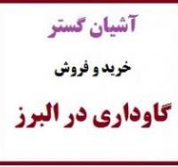 فروش گاوداری شیری فعال در نظرآباد کرج