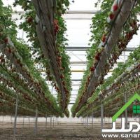 فروش گلخانه زیرکشت مجهز در صفادشت کد1045