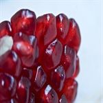 باغ اناری ماشین رو شهرضا باغ اناری اصفهان