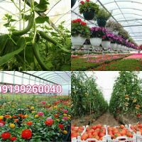 گلخانه فروشی و وام کم بهره