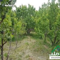 فروش باغ 400 متری چهاردیواری در ابراهیم آباد