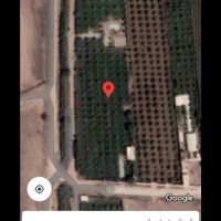 *فروش باغچه 1000 متری با درختان ۱۰ ساله در شهرک منتظری*
