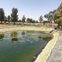 فروش گاوداری ورامین