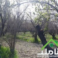 فروش باغ با سند 6 دانگ در شهرک بهاران شهریار
