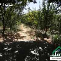 700 متر باغچه 4 دیوار در لم آباد ملارد