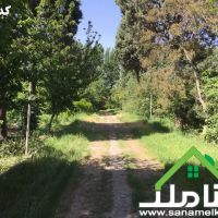 فروش باغ ویلای هکتاری در خوشنام یوسف آباد کد1050