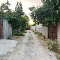 باغچه باباسلمان ۲۳۲/۵ متر