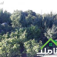 فروش باغ 1000 متری در شهریار کد 1695
