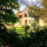 کرج – محمدشهر فروش باغ ویلای دوبلکس کد 1513