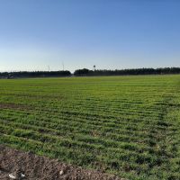 فروش 100 هکتار زمین کشاورزی دارای موقعیت مکانی خوب