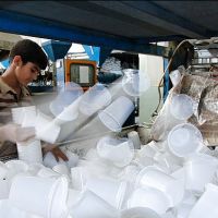 فروش کارخانه ظروف یکبار مصرف