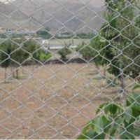 1000متر باغچه دماوند فروش یا معاوضه | دماوند، تهرانپارس