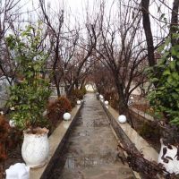 فروش باغ و باغچه در ملارد ویلای جنوبی کد 1479