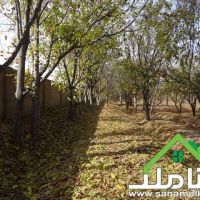 خرید فروش باغ در ارسطو صفادشت کد1273
