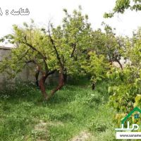فروش قطعات باغ چهاردیواری در کردزار