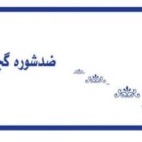 ماده ضد شوره گچ کاری
