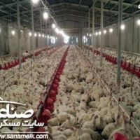 فروش مرغداری تخمی در مهرچین ملارد  کد 900